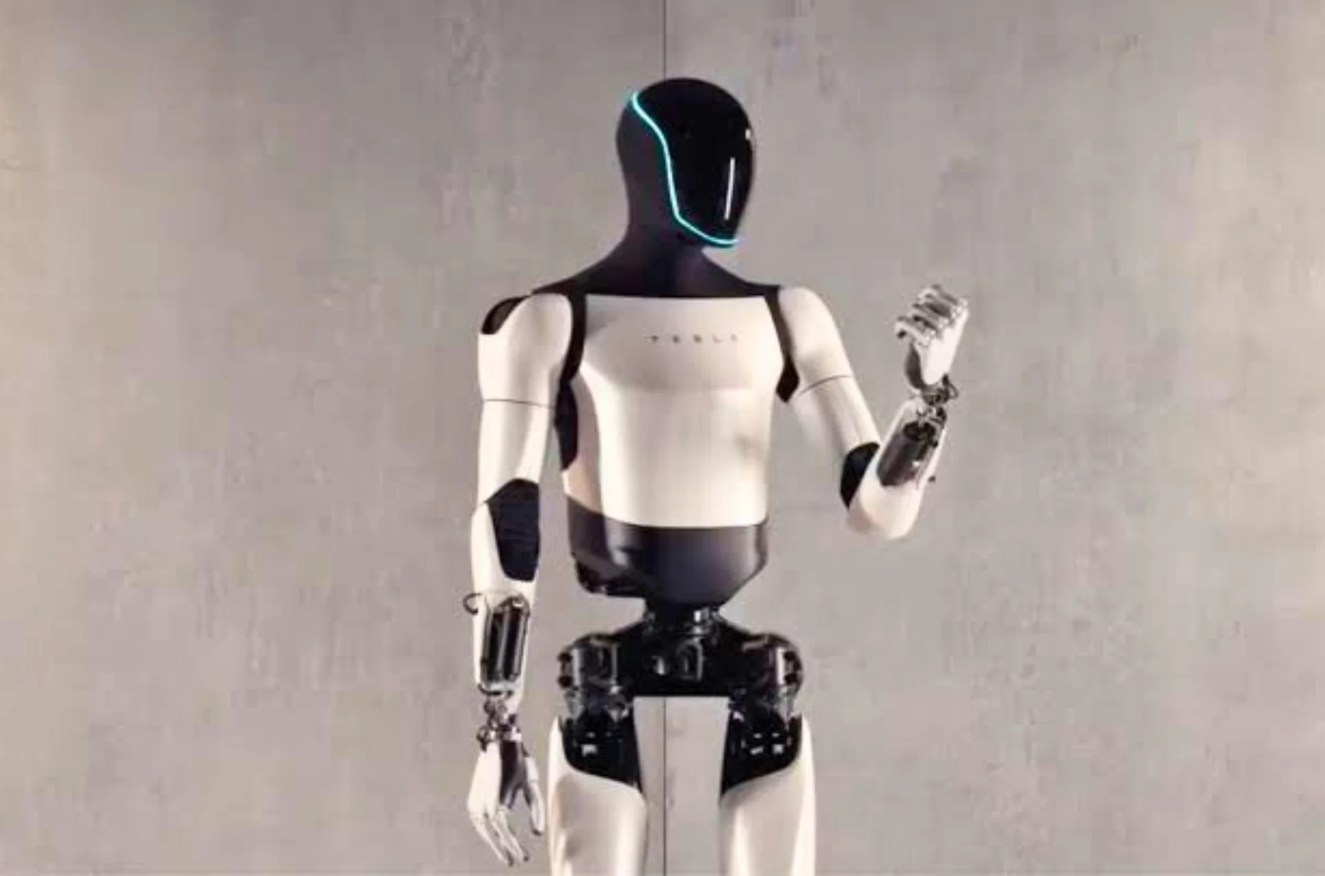 Tesla Optimus Humanoid Robot Brings Crazy Automation!