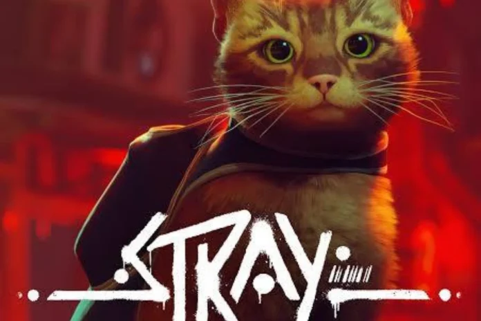 stray video game
