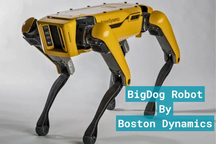 BigDog Robot