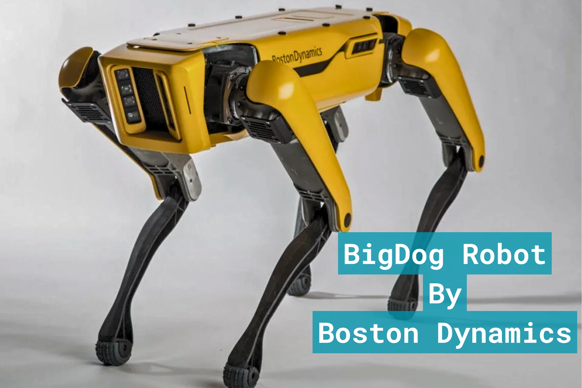 BigDog Innovations Latest Advances in Robotics Technology