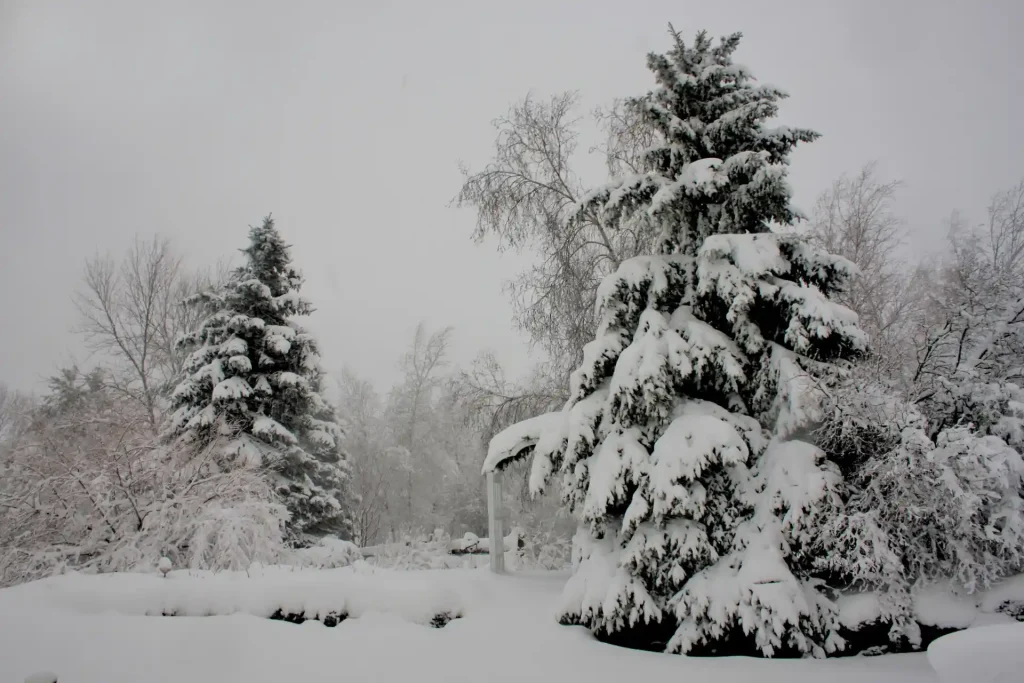 The Great Blizzard of 1888